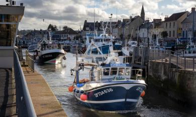 Face à la surpêche, zoom sur la pêche responsable, sélective et locale en Normandie - Au rendez-vous des Normands