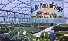 Les Bio Plants Du Potager intérieur - Au rendez-vous des Normands