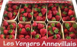 Les vergers Annevillais fraises - Au rendez-vous des Normands