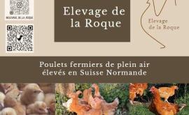 Élevage de la Roque présentation - Au rendez-vous des Normands