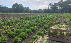 La Ferme des Vouages extérieur - Au rendez-vous des Normands