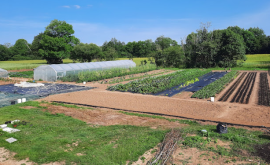 La ferme paysanne exterieur - Au rendez-vous des Normands