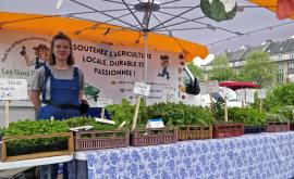 Les bons plants d'Elise stand - Au rendez-vous des Normands