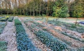 Du vent dans les bottes jardins - Au rendez-vous des Normands