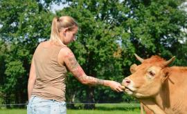 La Ferme des Sources - Au rendez-vous des Normands