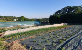 Le Jardin des Groseillers - Au rendez-vous des Normands