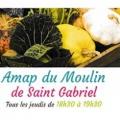 AMAP du Moulin Saint-Gabriel - Au rendez-vous des Normands