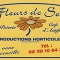 Fleurs de Sel - Au rendez-vous des Normands