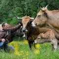 La ferme des Venelles - Au rendez-vous des Normands