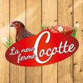 La new ferme Cocotte - Au rendez-vous des Normands