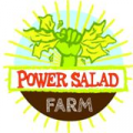 Power Salad - Au rendez-vous des Normands