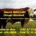 Thierry Moullart - Au rendez-vous des Normands