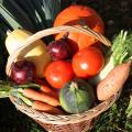 La ronde des légumes - Au rendez-vous des Normands