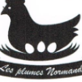 Les plumes normandes - Au rendez-vous des Normands