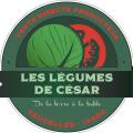 Les Légumes de César - Au rendez-vous des Normands