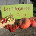 Les legumes de calie - Au rendez-vous des Normands